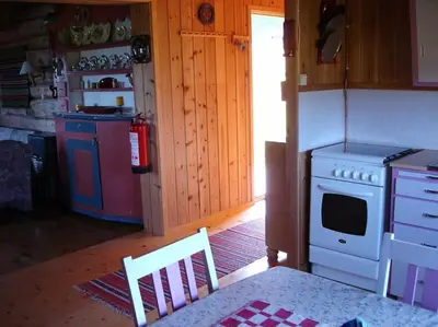 a kitchen with a stove and a stoveasteryasteryasteryasteryasteryasteryasteryastery at Hytte på fjellet, med mange turmuligheter ! in Gol