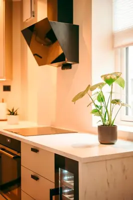 a kitchen with a potted plant on a counter at Bergen City Apartment in Bergen