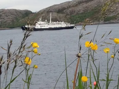 a large boat in the water with yellow flowers at 6 person holiday home in Flatanger in Lauvsnes