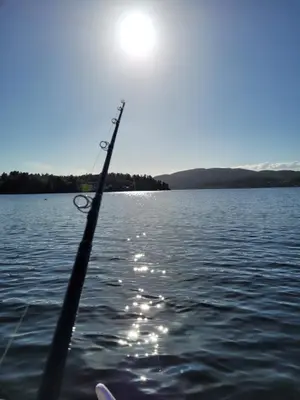 a person is rowing a boat on a lake at Åsenfjord, feriehus ved sjøen in Hopla