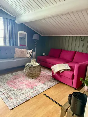a living room with a pink couch and a rug at Koia Guesthouse in Flesberg