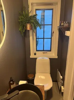 a bathroom with a toilet and a window with a plant at Koia Guesthouse in Flesberg