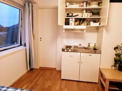 a small kitchen with a sink and a window at Cosy apartment near city center in Bergen