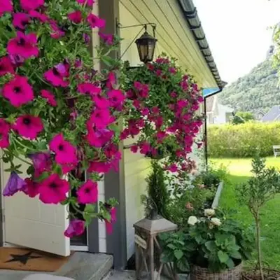Feriehus i Lærdal