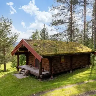 Skogcamping