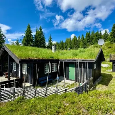 Cozy spacious cabin with sauna at Natrudstilen