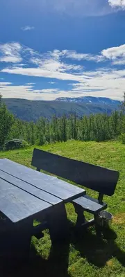a picnic bench sitting on top of a field at Steinstølen by Norgesbooking - cabin with a lovery view in Hol
