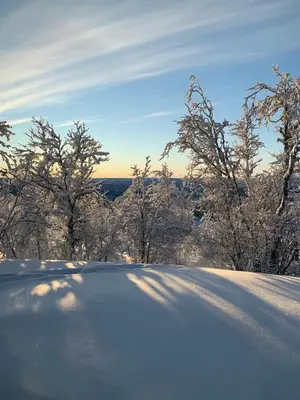 a snow covered hill with trees in the background at Steinstølen by Norgesbooking - cabin with a lovery view in Hol