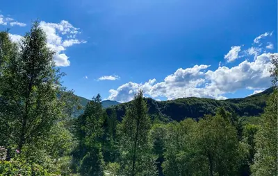 a view of a forest of trees and mountains at 2 Bedroom Pet Friendly Home In Haddal in Haddal