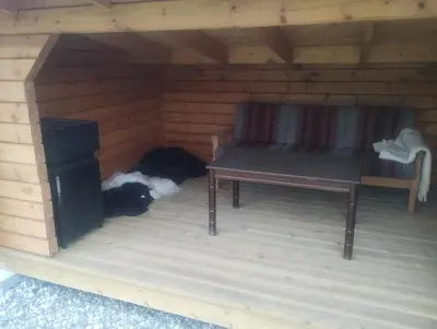 a black and white dog sleeping in a dog house at Langlete gjestehus in Gilset