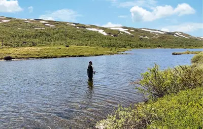 a person standing in the water in a river at Stunning Apartment In Tyinkrysset in Tyinkrysset