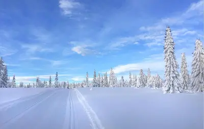 a snow covered field with snow covered trees and a road at 3 Bedroom Lovely Home In Sjusjøen in Sjusjøen