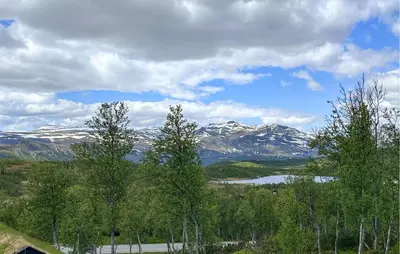 a group of trees with mountains in the background at Stunning Home In Beitostølen With Sauna in Beitostøl