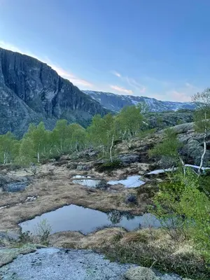 a view of a mountain with trees and water at Handeland Lodge I Arctic Dome in Sauda