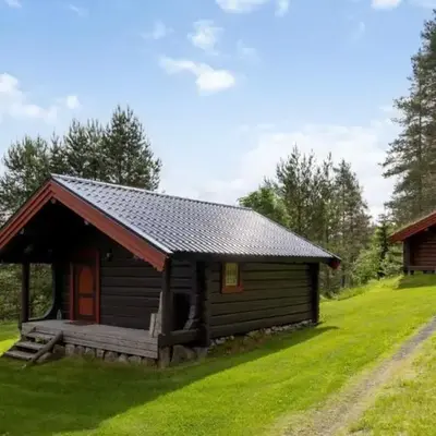 Skogcamping