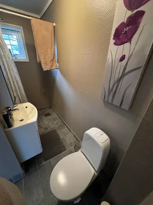 a small bathroom with a toilet and a sink at Villa with a view in Morviki
