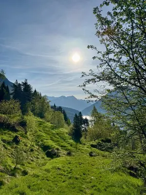 a grassy hill with the sun in the sky at Stryn Golden Resort - Panorama I in Stryn