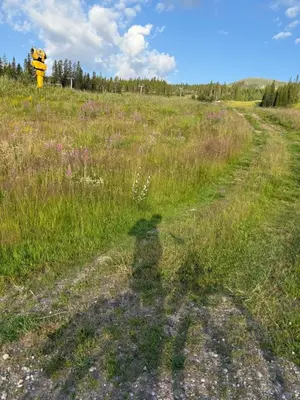 a shadow of a person in a field with a fire hydrant at Hytte med sentral beliggenhet in Trysil