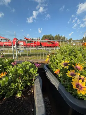 two flowerpots with flowers in them with a train in the background at Hytte med sentral beliggenhet in Trysil