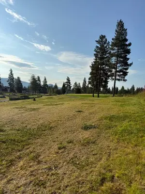 an open field with two trees in the distance at Hytte med sentral beliggenhet in Trysil
