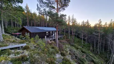 a small cabin in the middle of a forest at Utsikten in Korsnes