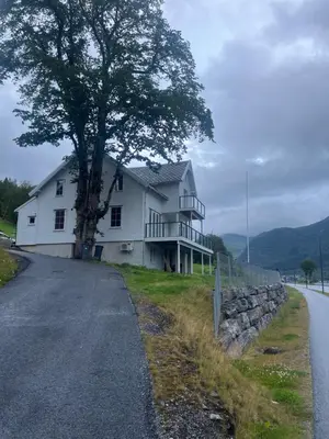 a white house with a tree on the side of a road at Husslåttene apartments in Skei