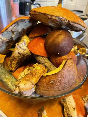 a plate of different types of bread on a table at Øen Hytter - Hytte 2 in Sørbø