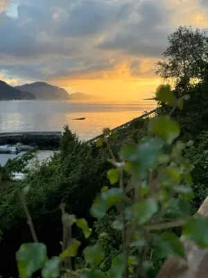 a sunset over a body of water with trees at Øen Hytter - Hytte 2 in Sørbø