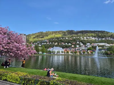 a group of people sitting on the grass near a lake at Nydelig hus med privat hage og fantastisk utsikt over Fisketorget, Bryggen og Bergen sentrum in Bergen