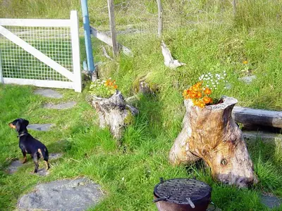 a dog standing in the grass next to some flowers at 6 person holiday home in Åkra-By Traum in Kyrping