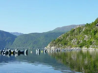 a lake with a bunch of birds in the water at 6 person holiday home in Åkra-By Traum in Kyrping