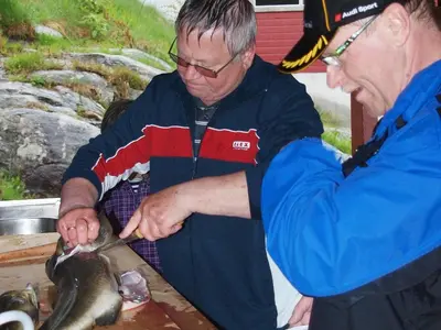 two men are cutting a fish with a knife at 10 person holiday home in HOSTELAND-By Traum in Hosteland