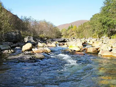 a river with rocks and trees on the side at 6 person holiday home in Øvre Årdal in Øvre Årdal