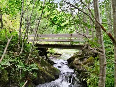 a wooden bridge over a stream in a forest at 6 person holiday home in Øvre Årdal in Øvre Årdal