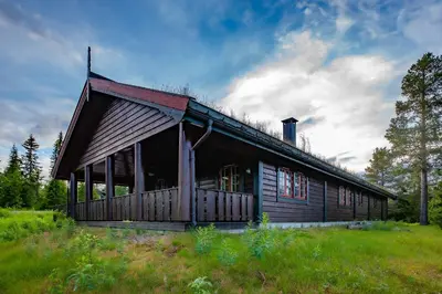 a large wooden house in a grassy field at Trysilfjellet Nord 170 in Trysil