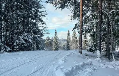a snow covered road with trees and footprints in the snow at Cozy Home In Vinje With Wifi in Hommo