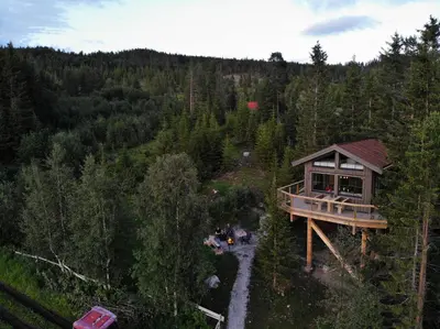 an overhead view of a tree house in the woods at Fjellgla tretopphytte in Holo