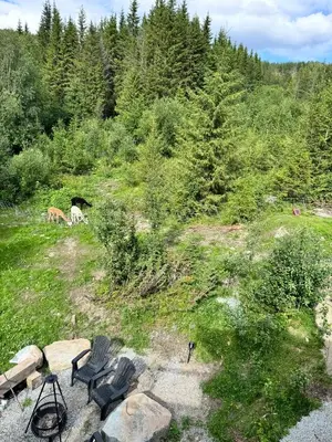 a group of chairs sitting on top of a hill at Fjellgla tretopphytte in Holo