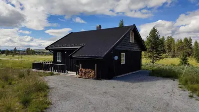 a black house with a black roof on a field at Bjørkefinken by Norgesbooking - cabin for hiking and skiing in Tisleidalen