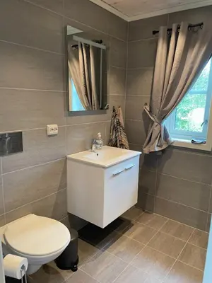 a bathroom with a white sink and a toilet at Bjørkefinken by Norgesbooking - cabin for hiking and skiing in Tisleidalen
