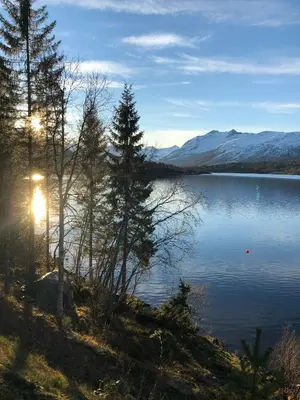Gallery image of Hytte ved Nysætervatnet - Fjellsætra in Sykkylven
