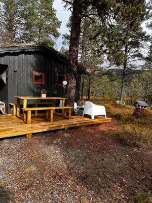 a cabin with a picnic table and a bench at Hytta på Øyfjell in Trovatn
