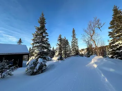 a snow covered road with trees and a building at New chalet with great view in Hafjell
