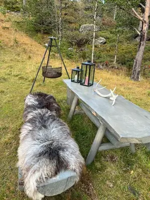 a dog laying on the grass next to a picnic table at Cozy apartement near Besseggen with a nice outdoor area! in Randsverk