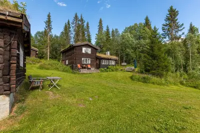 a log cabin with a picnic table in the grass at Frøy&Frøya Hyttetun in Skammestein