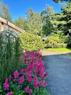 a garden with pink flowers on the side of a road at Et helt hus i fredelige omgivelser med utsikt! ca 10 min fra Trondheim sentrum in Trondheim