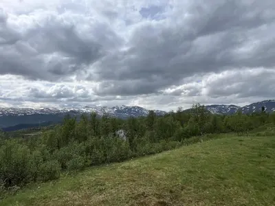 a grassy hill with snow covered mountains in the background at Perfect Couple's Hideaway In Nature! in Beitostøl