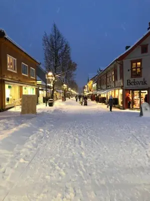 a snow covered street in a town with buildings at Nice log house close to Lillehammer and Sjusjøen in Haugen