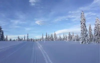 a snow covered field with snow covered trees and a road at Nice Home In Lillehammer With Sauna in Lillehammer