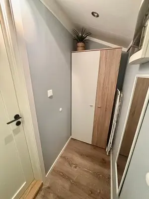 a hallway with a door with a plant on top at Cozy Apartment in Ålesund
